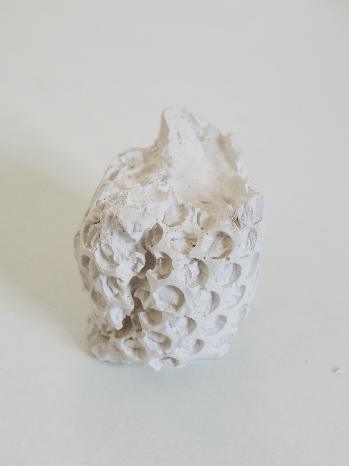 plaster-experiment2
